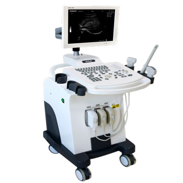 DW-370 Hot sale CE/ISO approved trolley ultrasound for pregnancy in China